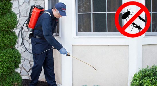 Muğla Kemirgen İlaçlama böcek ilaçlama ve haşere kontrolü — ilaclama-tr.com